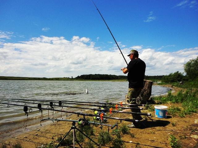 diverse - dsc09639.JPG